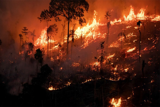Governo nega desmatamentos enquanto Brasil registra recordes de perda florestal